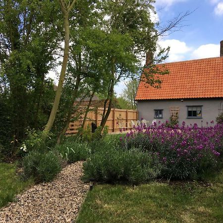 Watt Cottage Ипсуич Екстериор снимка